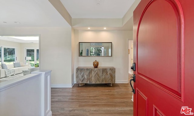 foyer entrance with wood-type flooring