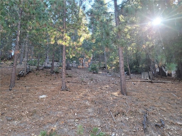 Listing photo 3 for 0 Brentwood Dr, Lake Arrowhead CA 92352