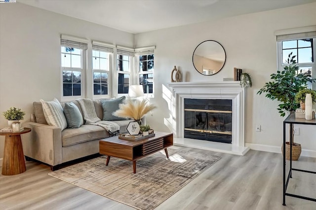 living room featuring hardwood / wood-style floors