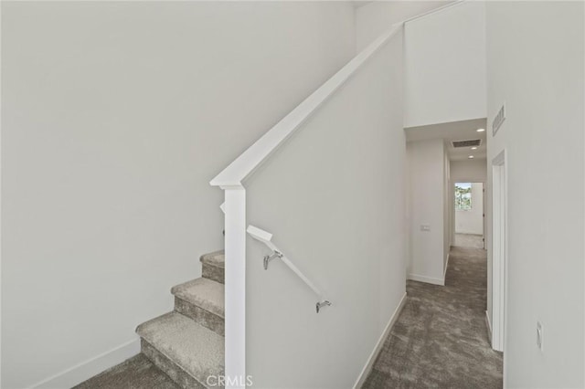 stairway featuring carpet flooring