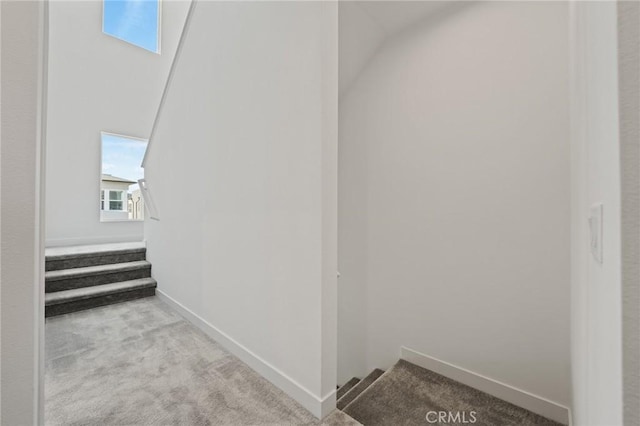 staircase featuring carpet floors and vaulted ceiling