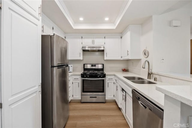 kitchen with sink, light hardwood / wood-style flooring, stainless steel appliances, a tray ceiling, and white cabinets