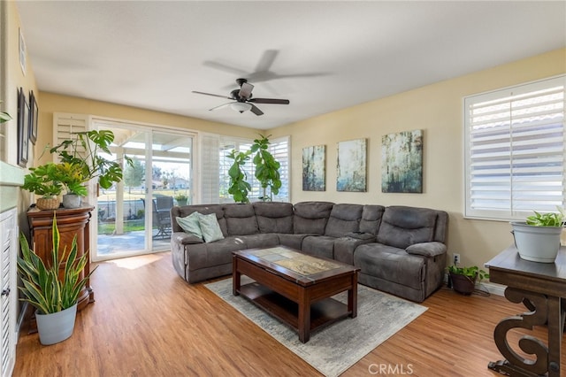 living room featuring ceiling fan and light wood-type flooring