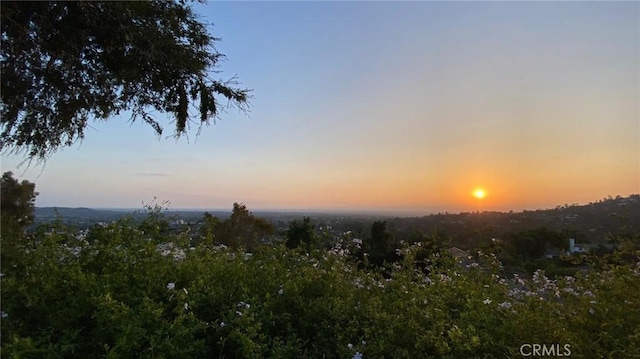 view of nature at dusk