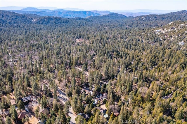 drone / aerial view featuring a mountain view