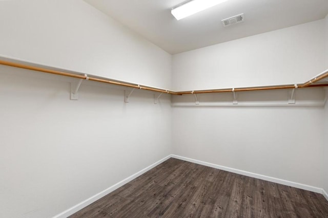 spacious closet featuring dark wood-type flooring