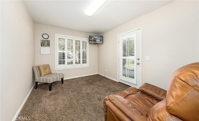 living area with carpet