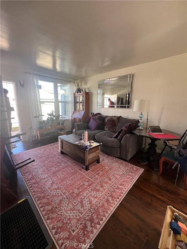 living room with hardwood / wood-style floors