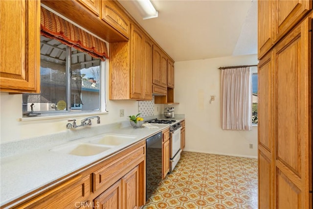 kitchen featuring gas stove, dishwasher, and sink