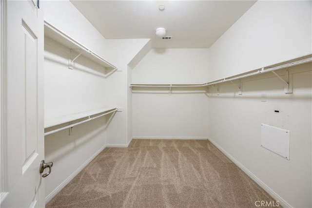 spacious closet with light colored carpet