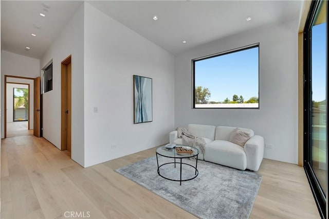 living room featuring light hardwood / wood-style floors