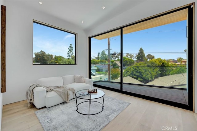 living room featuring a healthy amount of sunlight and light hardwood / wood-style floors