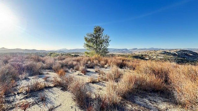 0 Forrest Gate Rd, Campo CA, 91906 land for sale