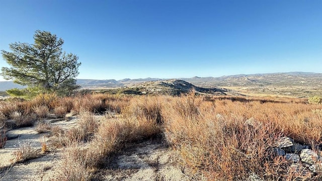 Listing photo 3 for 0 Forrest Gate Rd, Campo CA 91906