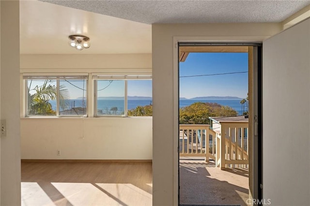 doorway featuring light hardwood / wood-style floors, a textured ceiling, and a water and mountain view