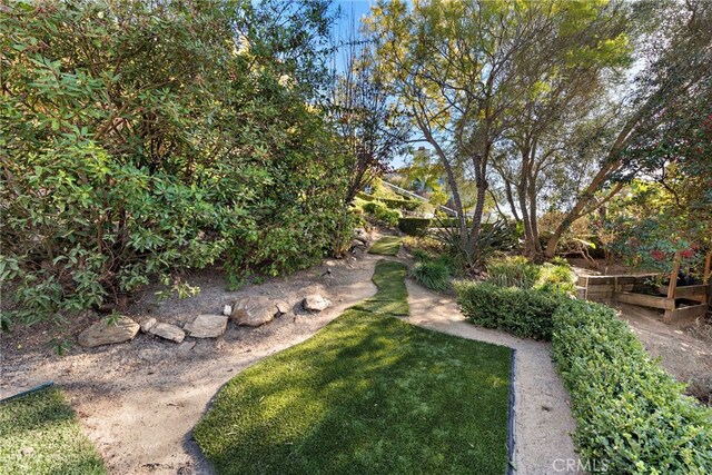 766 Pelican, Laguna Beach, CA 92651 - view of yard