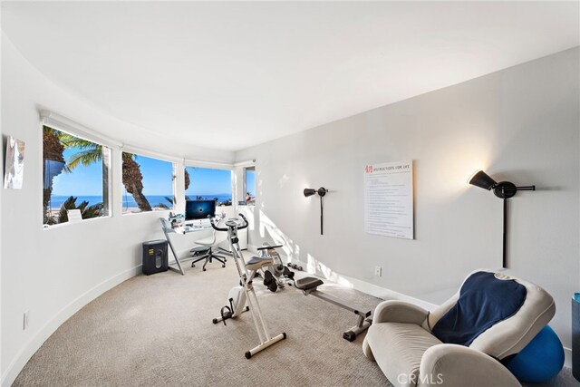 766 Pelican, Laguna Beach, CA 92651 - exercise room featuring healthy amount of natural light, carpet, and baseboards