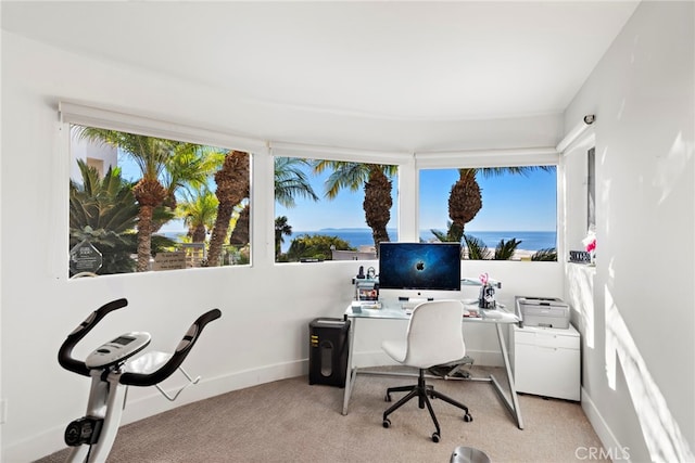 office area featuring light colored carpet and a wealth of natural light