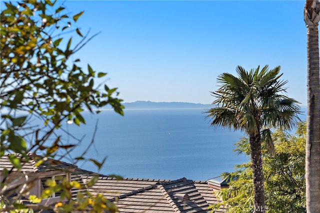 view of water feature featuring a mountain view