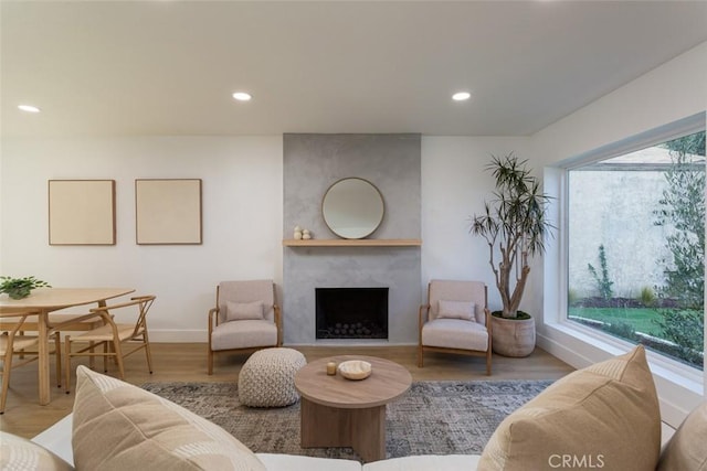 living room with a large fireplace and wood-type flooring