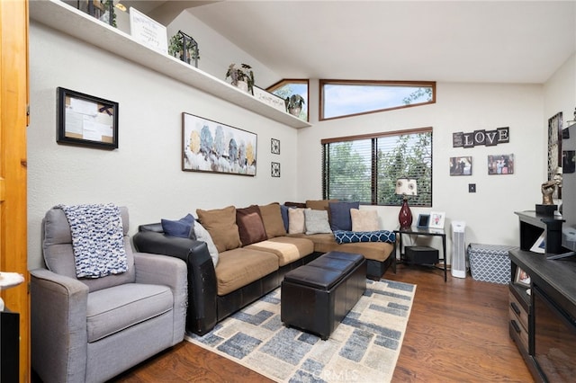 living room with lofted ceiling and dark wood-type flooring