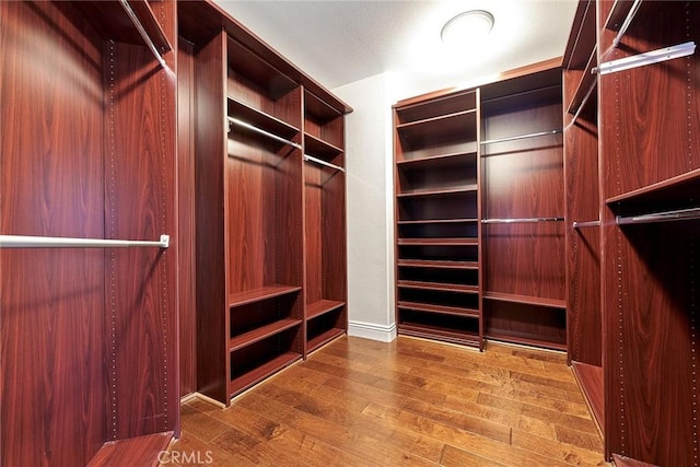 spacious closet featuring wood-type flooring