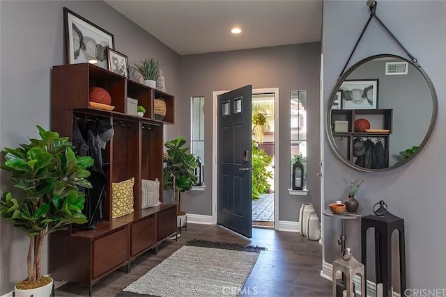 mudroom with dark hardwood / wood-style floors