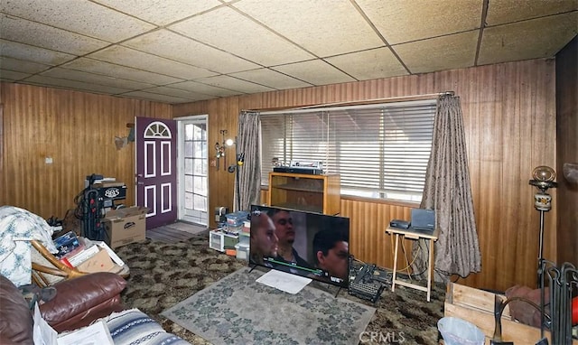 living room with plenty of natural light and wood walls