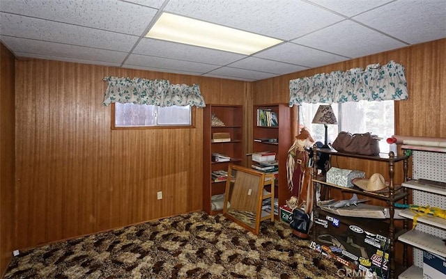 office featuring carpet floors and wooden walls