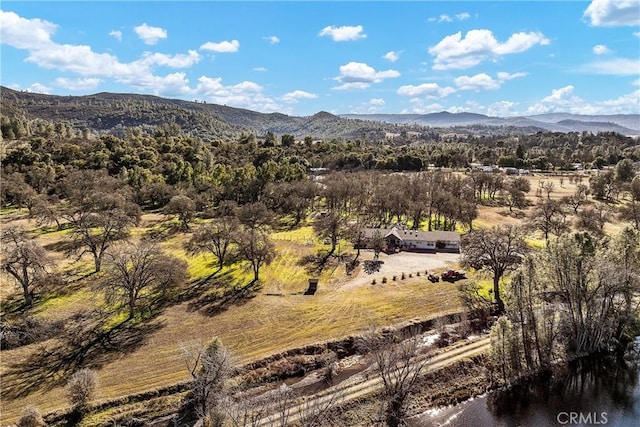 4962 Gaddy Ln, Kelseyville, CA 95451 - photo 58