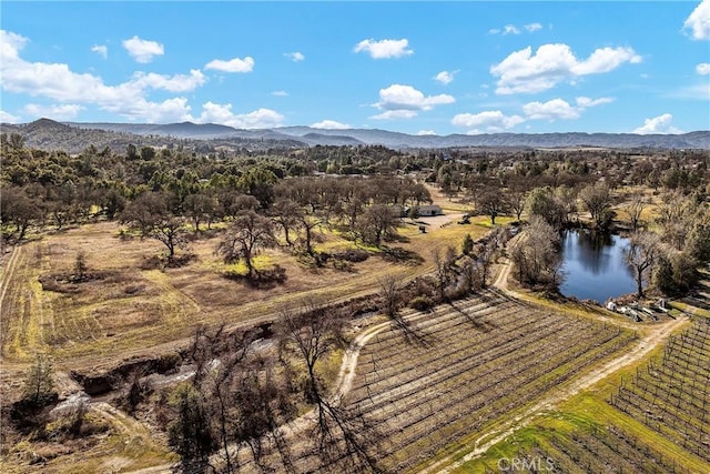 4962 Gaddy Ln, Kelseyville, CA 95451 - photo 57