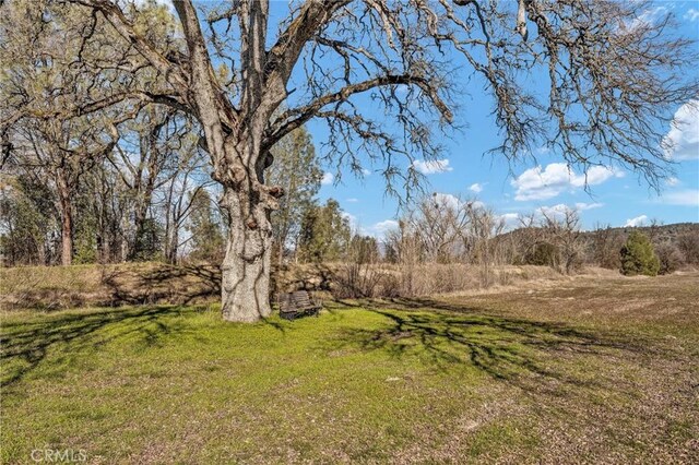 4962 Gaddy Ln, Kelseyville, CA 95451 - photo 50