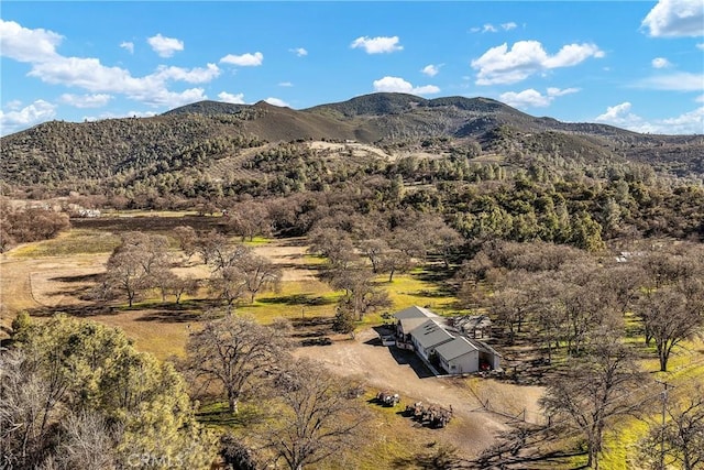 view of mountain feature