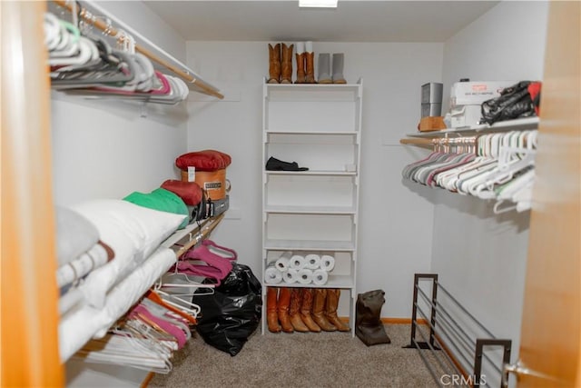 walk in closet with carpet