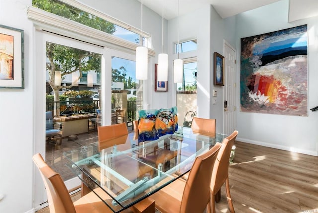 dining room featuring wood-type flooring