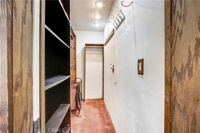 walk in closet featuring carpet floors