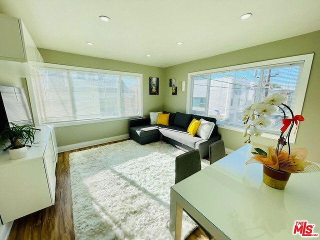 living room featuring dark hardwood / wood-style floors