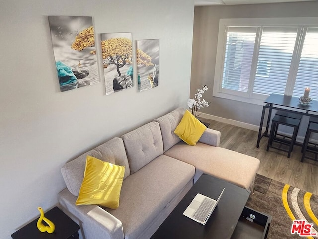 living room with hardwood / wood-style floors