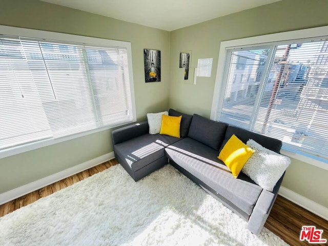 living room with hardwood / wood-style floors