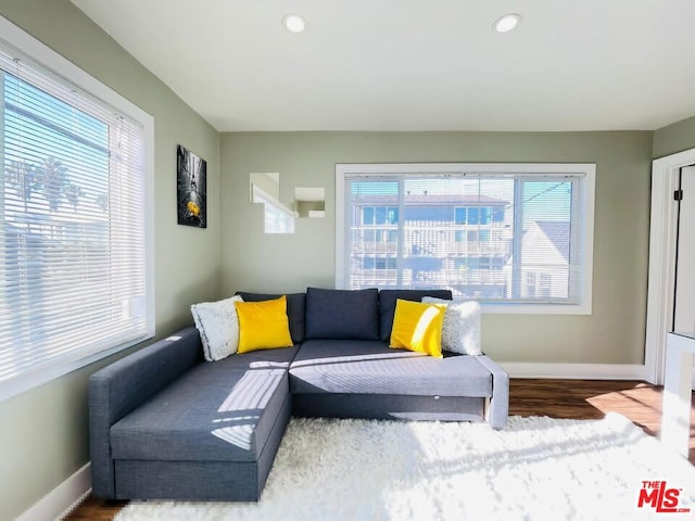 living room with wood-type flooring