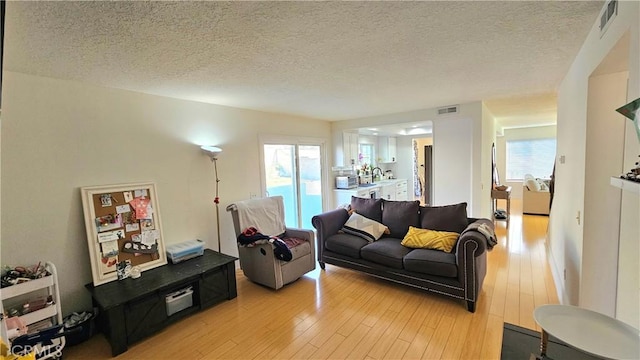 living room with a textured ceiling, a healthy amount of sunlight, light hardwood / wood-style floors, and sink