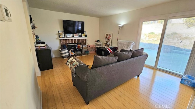 living room featuring light hardwood / wood-style floors and a fireplace