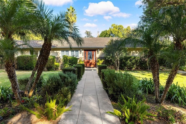 ranch-style house featuring a front yard