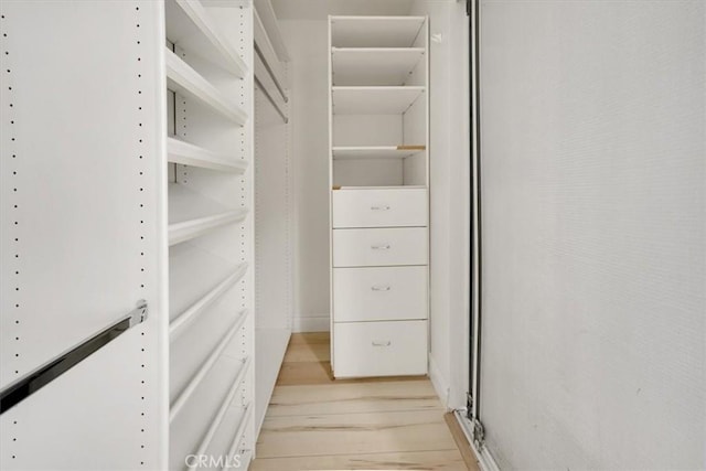 spacious closet featuring light hardwood / wood-style floors