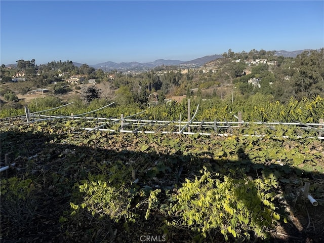 mountain view with a rural view