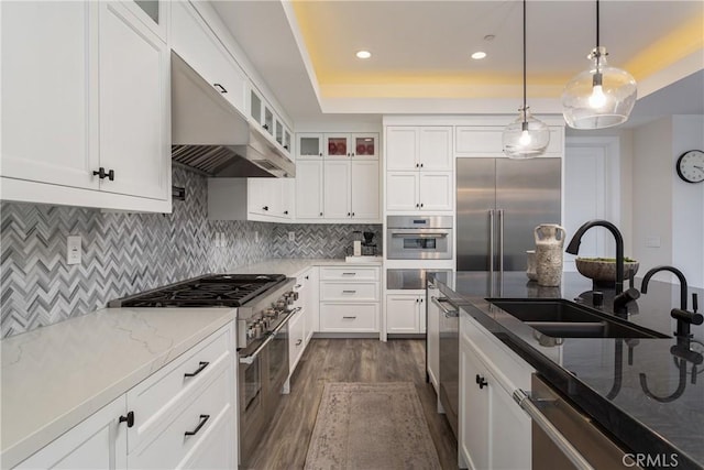 kitchen featuring white cabinetry, ventilation hood, sink, and premium appliances