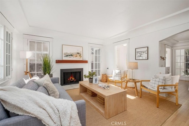 living room with light hardwood / wood-style flooring