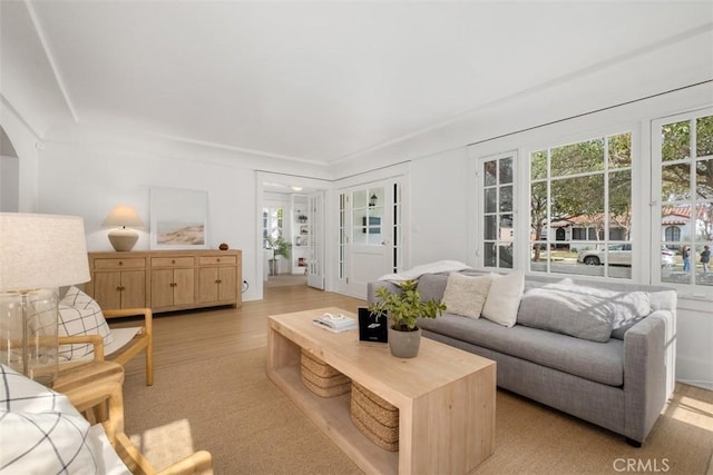 living room featuring light hardwood / wood-style floors