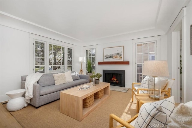 living room with hardwood / wood-style flooring