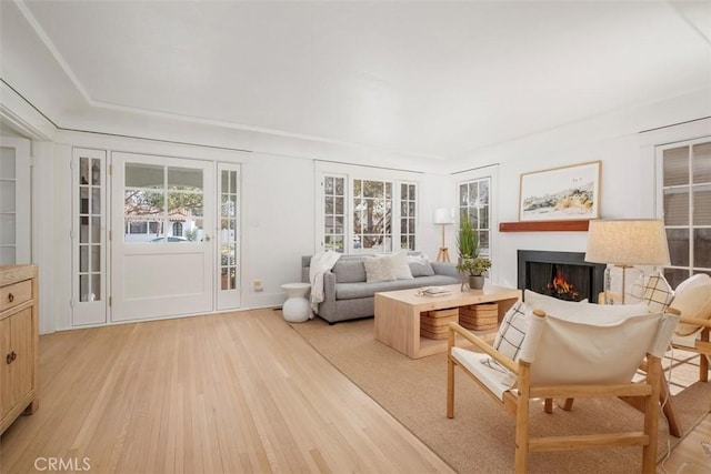 living room with light wood-type flooring